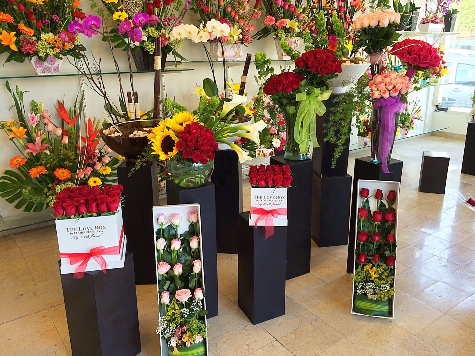 IMG20170605WA0011 Florería Plaza