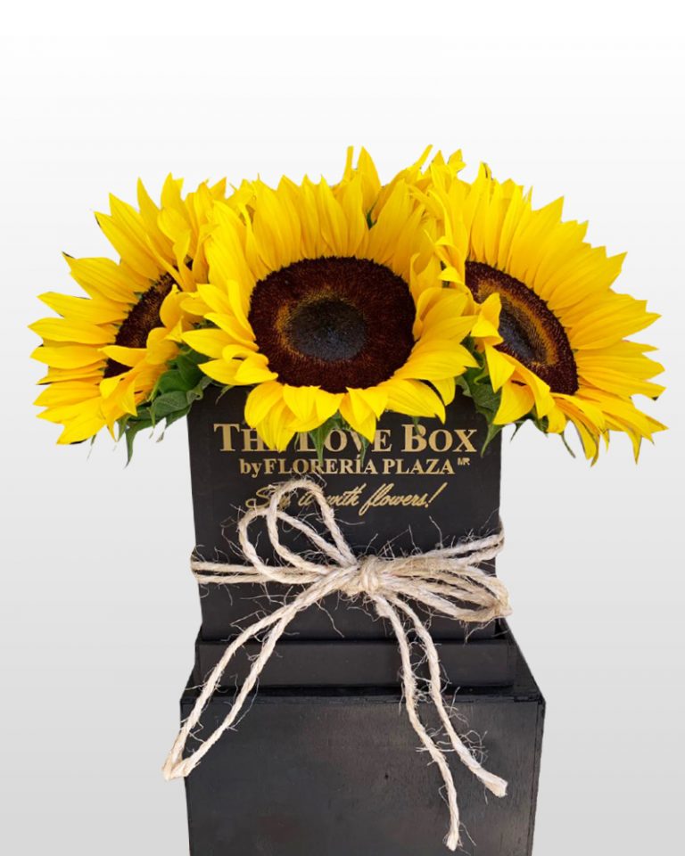 The Love Box 25A Florería Plaza