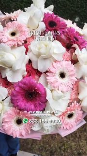 ¿Olvidaste esa fecha importante o simplemente quieres tener un gran detalle y no tienes tiempo? ⏳🚨
No te compliques. En Florería Plaza tenemos los diseños florales más frescos y hermosos de Tampico listos para sorprender.
👉 Solución rápida online: Pide en segundos desde nuestra tienda web y nosotros nos encargamos del resto: https://tienda.floreriaplaza.com/
👉 Experiencia en tienda: Pasa a nuestra sucursal en Lomas de Rosales (frente a la iglesia), elige el arreglo perfecto .🎁
💬 Habla con nosotros ahora mismo: https://wa.me/5218331559930
#floreriaplazalomas #floreriaplazaentampico #dígaloconflores #TampicoMadero #ventaenlínea #floresnaturales