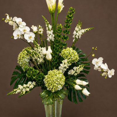 01 Arreglos Blancos