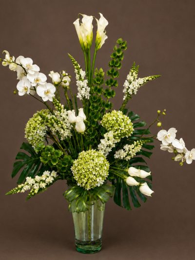 01 Arreglos Blancos