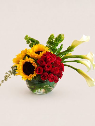 01 Girasoles