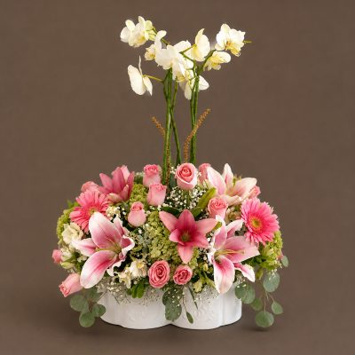 01 Orquideas