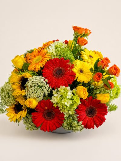 02 Gerberas