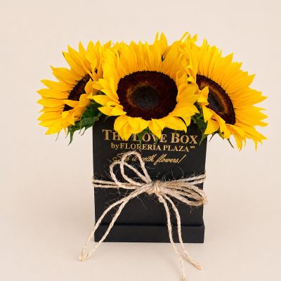 02 Girasoles