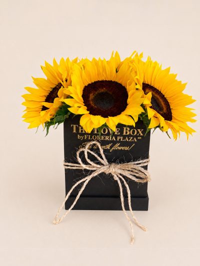 02 Girasoles