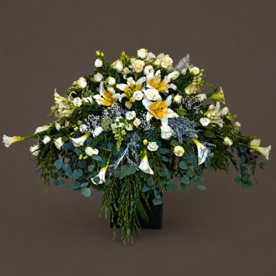 03 Funerales Cubre Caja
