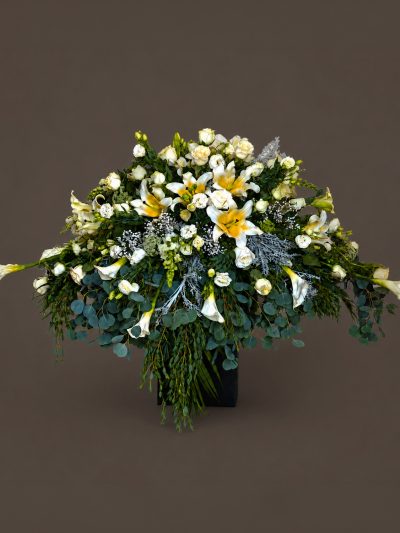 03 Funerales Cubre Caja