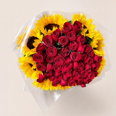 03 Girasoles