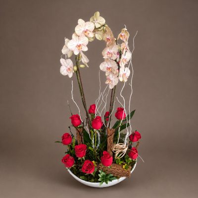 03 Orquideas