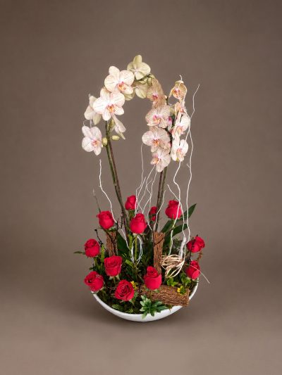 03 Orquideas