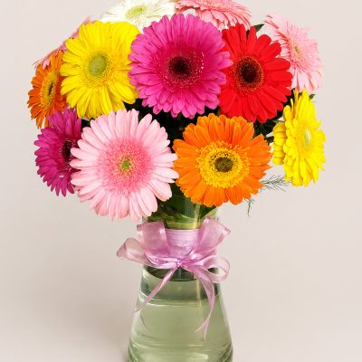 06 Gerberas