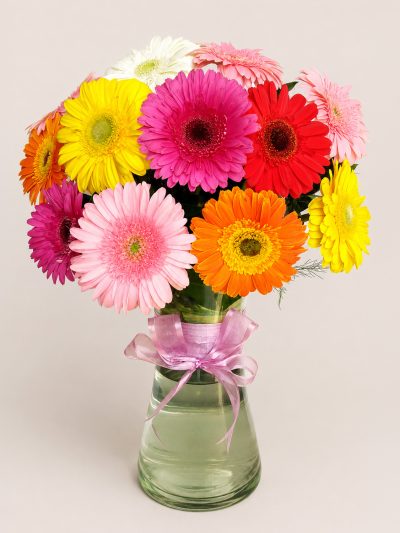 06 Gerberas