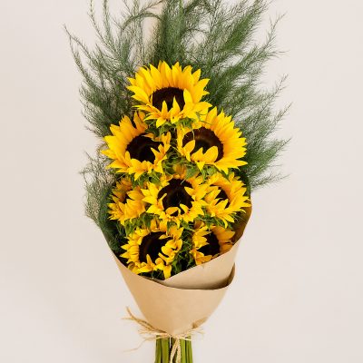 06 Girasoles