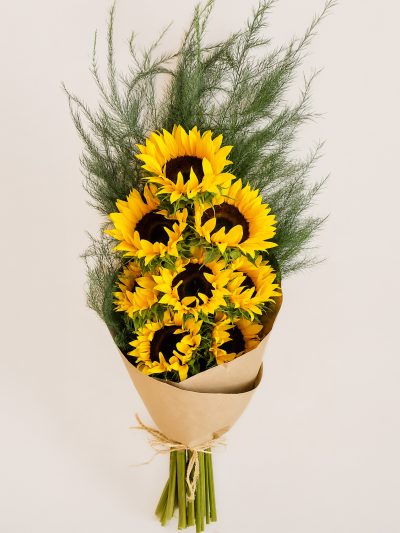 06 Girasoles