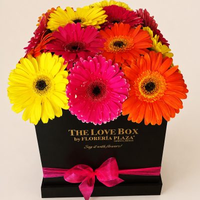 07 Gerberas
