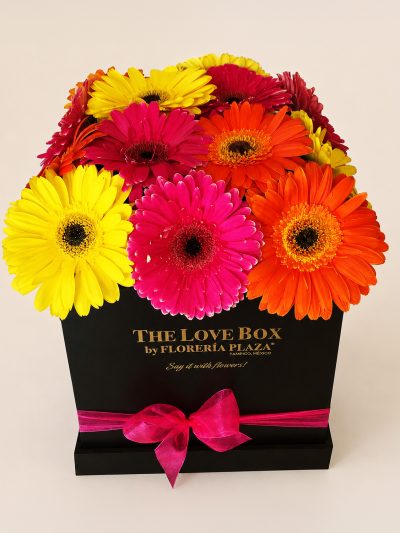07 Gerberas