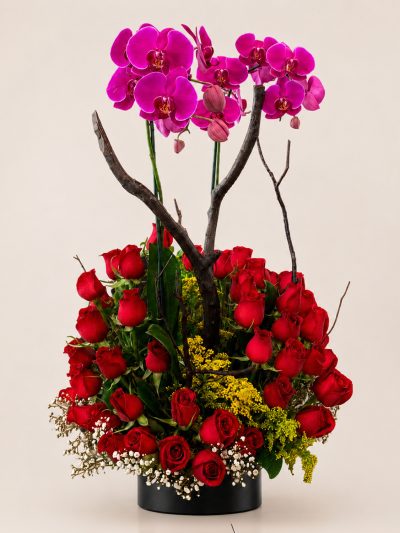 07 Orquideas