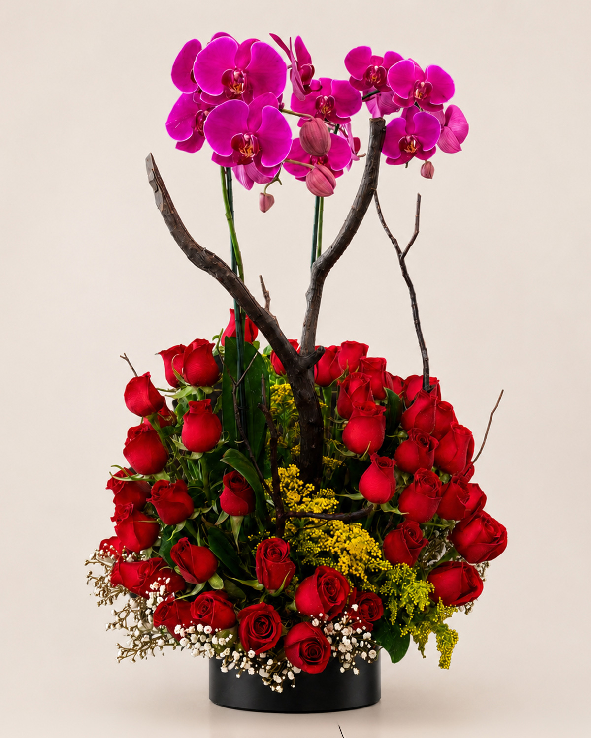 07 Orquideas