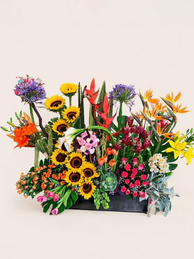 09 Girasoles