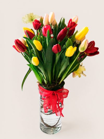 09 Tulipanes