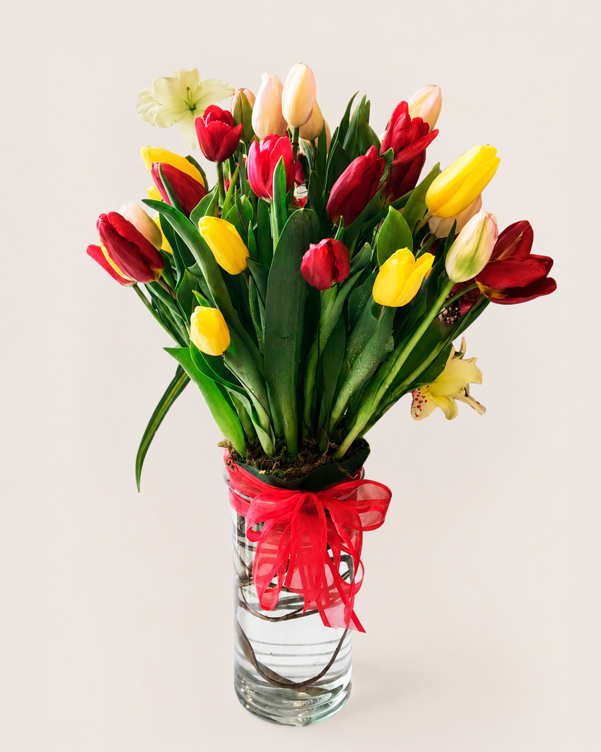 09 Tulipanes