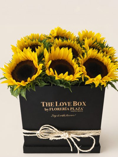 10 Girasoles