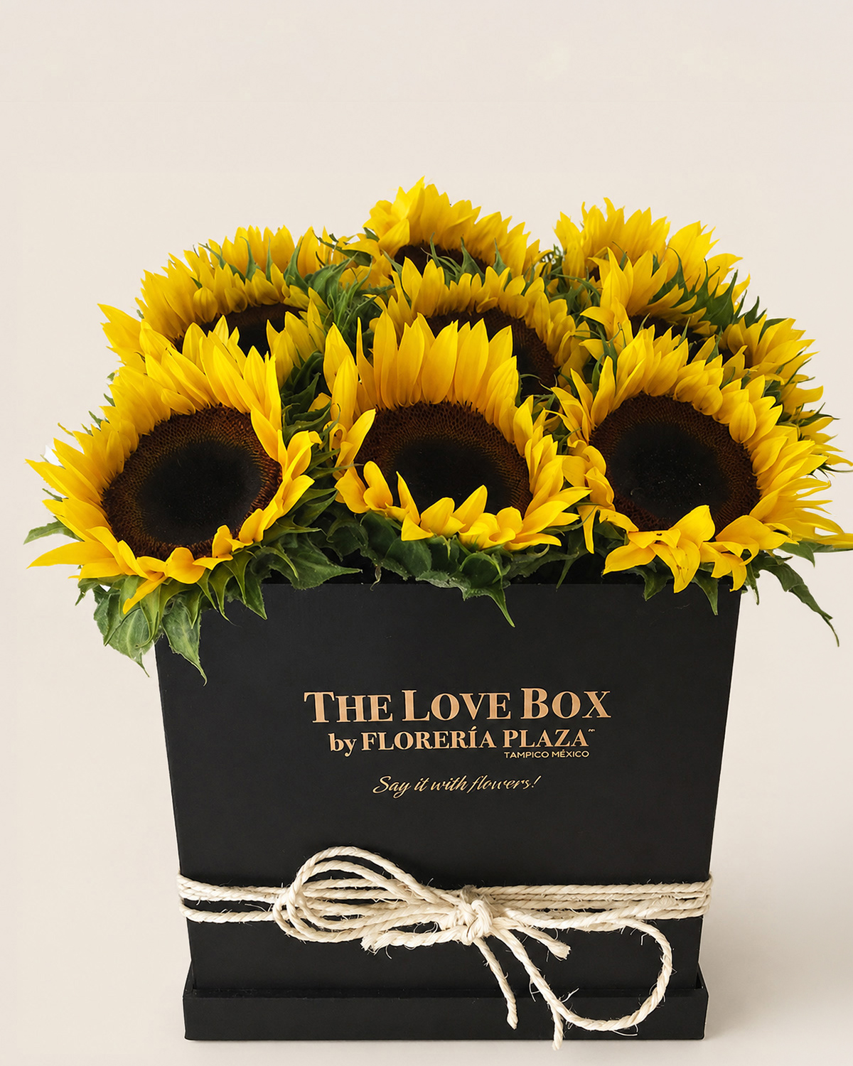 10 Girasoles