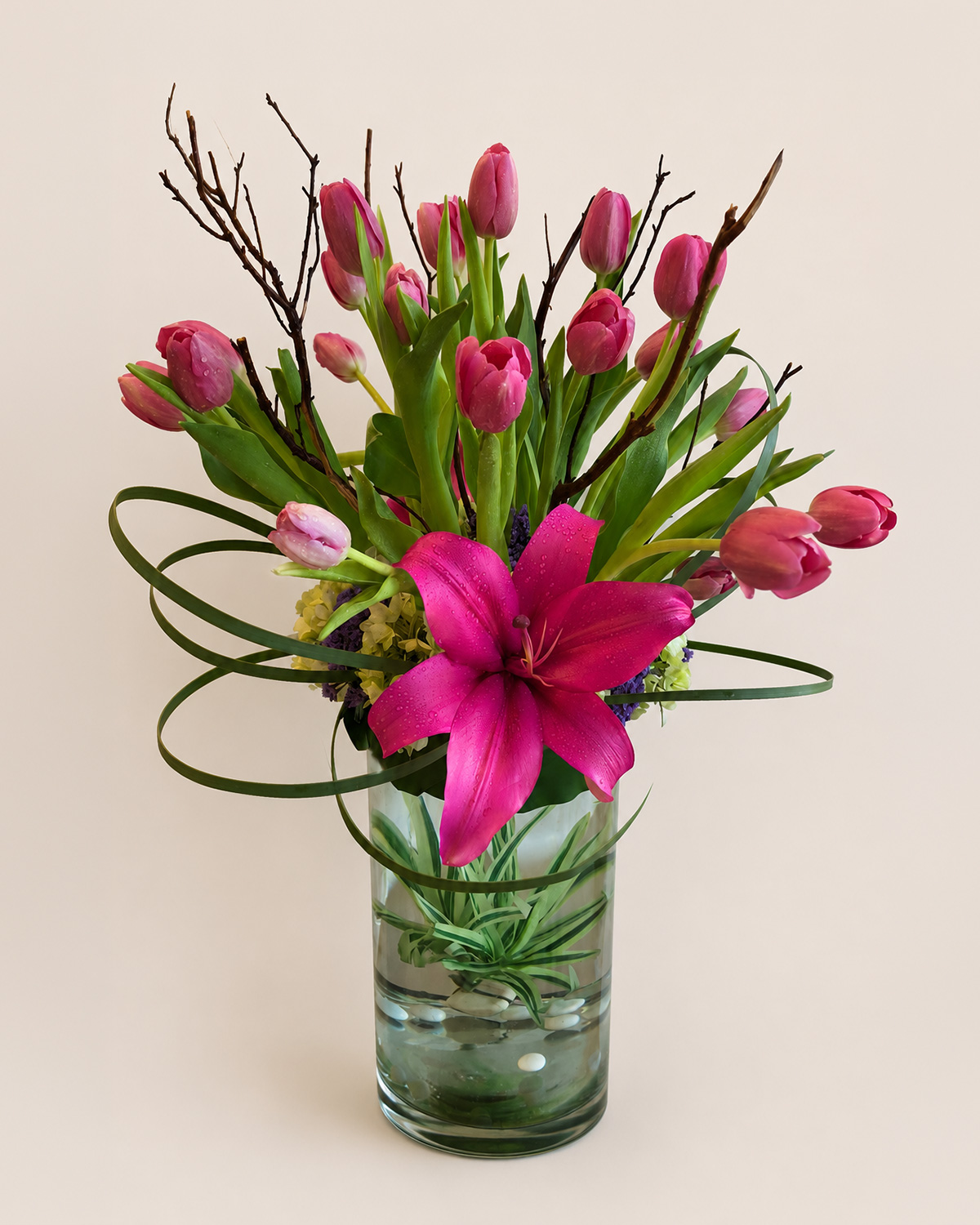10 Tulipanes