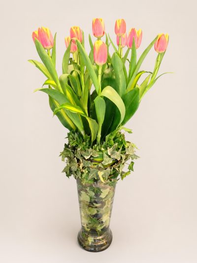 11 Tulipanes