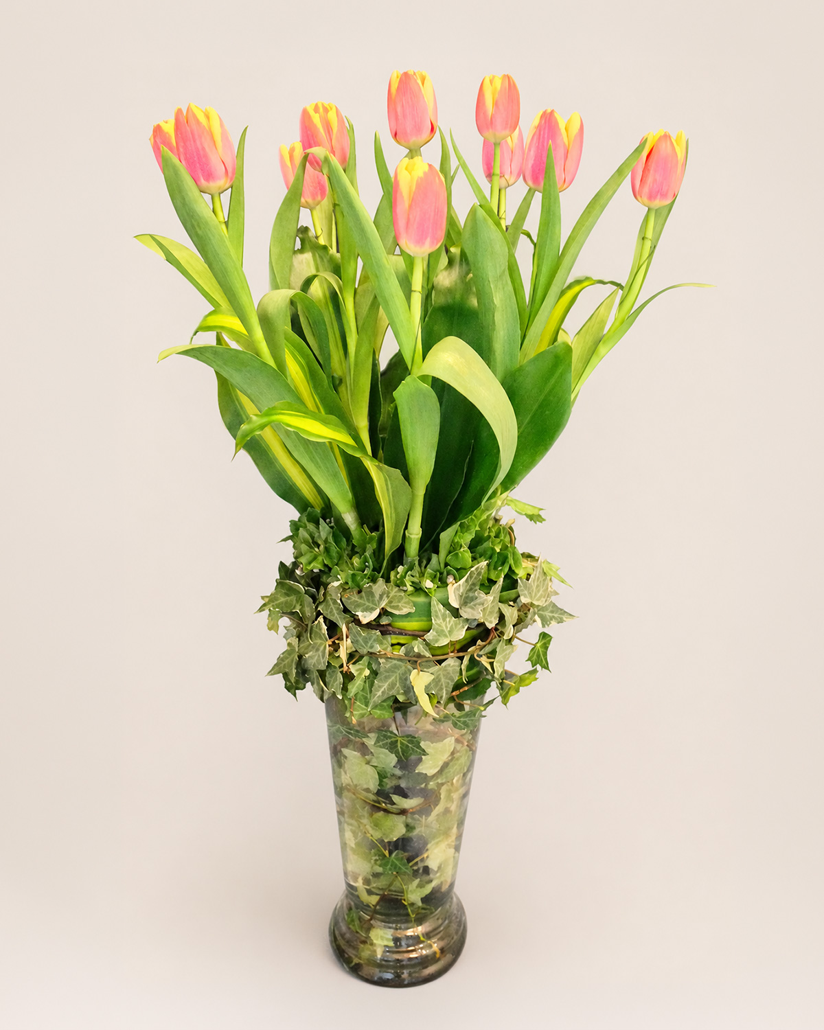 11 Tulipanes