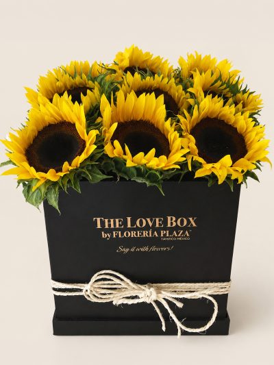 21 The Love Box