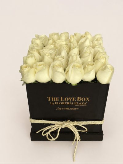 26 The Love Box