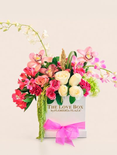 29 The Love Box