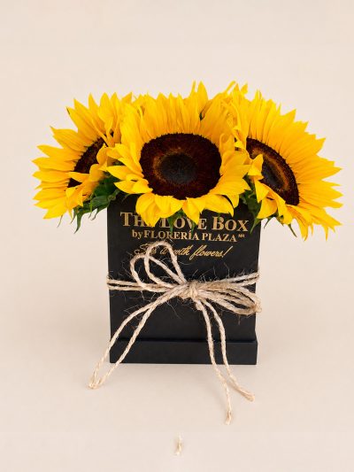 32 The Love Box