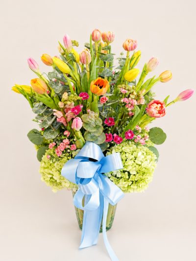 12 Tulipanes