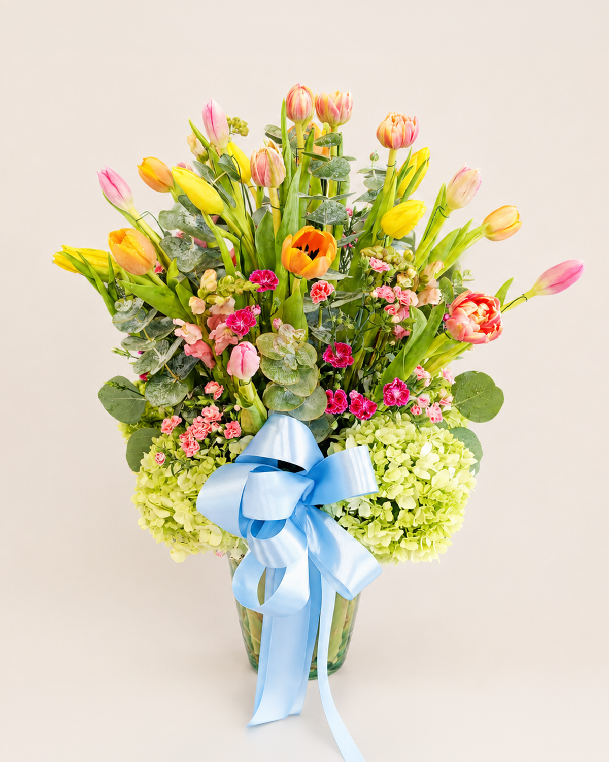 12 Tulipanes
